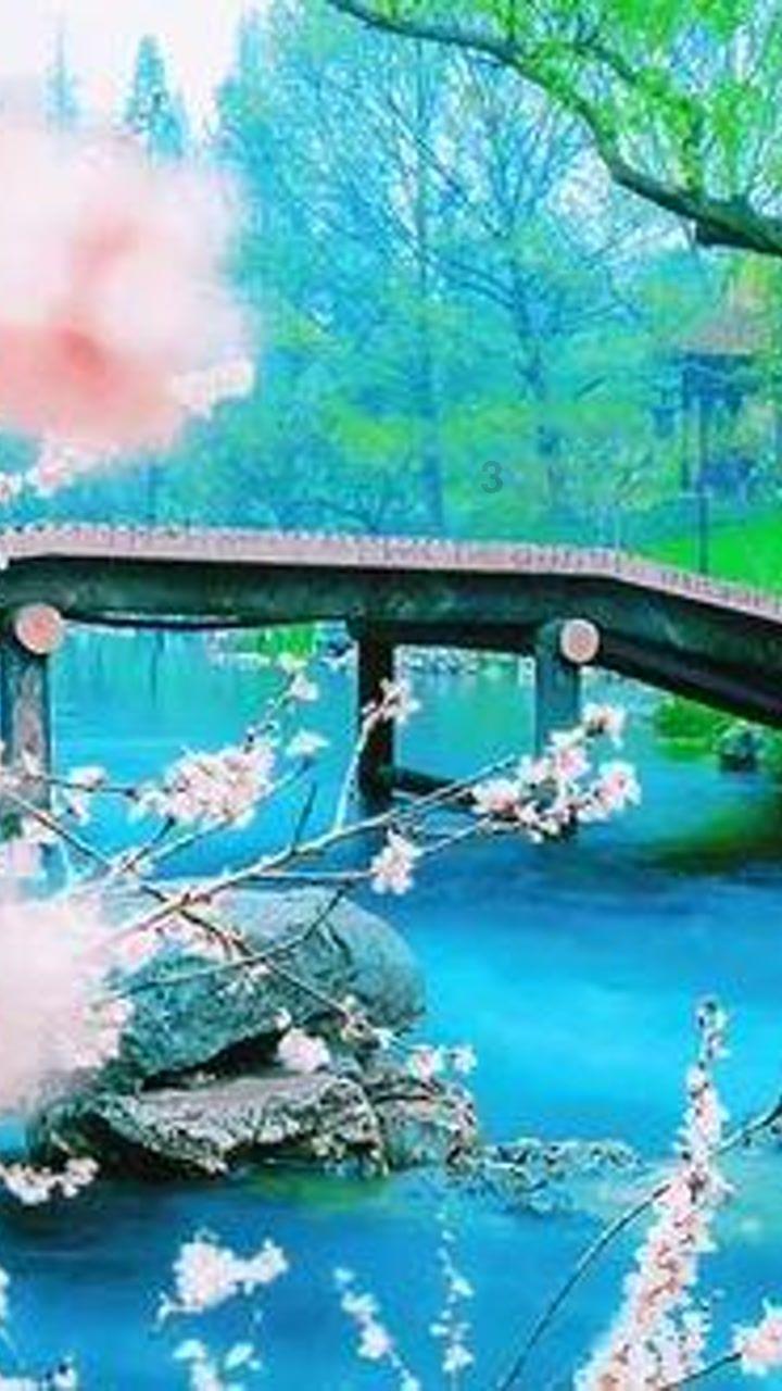唯亭街道：“红色管家”激发社区治理新活力